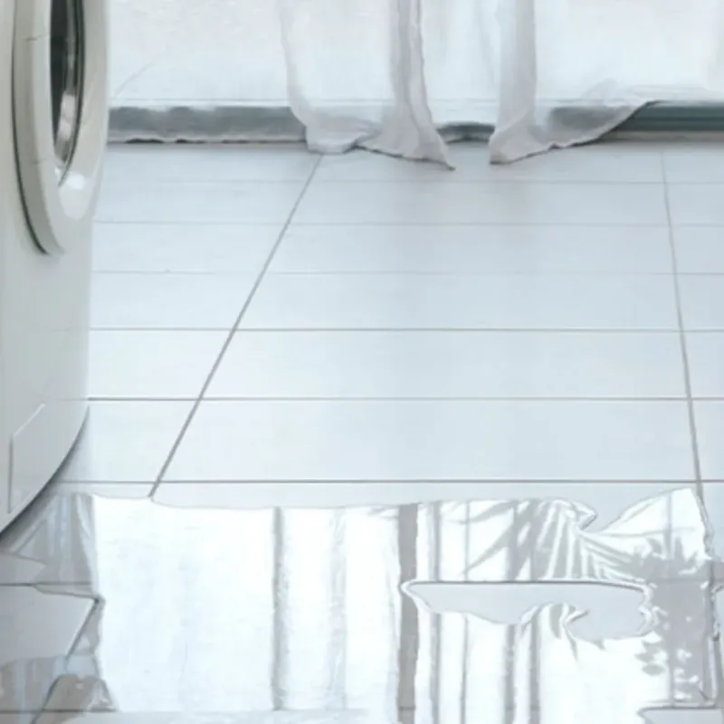 Appliance Leak Cleanup in Mount Zion, IL