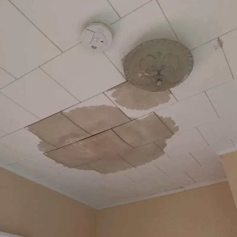 Ceiling Water Damage Repair in Mount Zion, IL