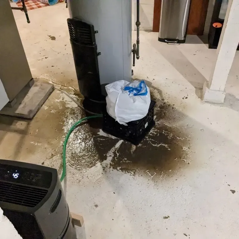Sewage Backup Cleanup Service in Mount Zion, IL